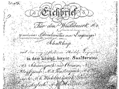 Datei-Vorschaubild - Rainer-Martin_Eichbrief Weidebezirk Schattberg_1837.pdf