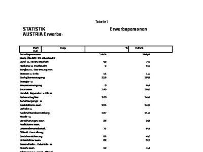 Datei-Vorschaubild - Statistik-Austria_Erwerb_2011.pdf