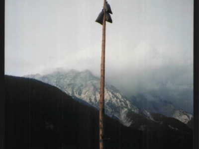 Datei-Vorschaubild - Gemeindeamt_Protestbaum.1_1993.jpg