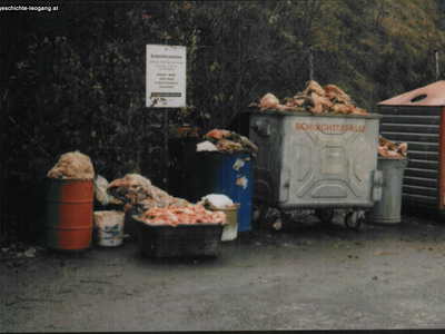 Datei-Vorschaubild - Gemeindeamt_Schlachtabfälle Recyclinghof_2006.jpg