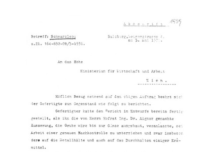 Datei-Vorschaubild - Sporn-Emil_Gutachten Erzvorkommen_1939.pdf