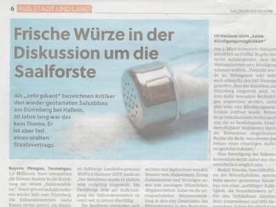 Datei-Vorschaubild - Salzburger-Woche_Frische-Würze-um-die-Diskussion-um-die-Saalforste_2020.pdf