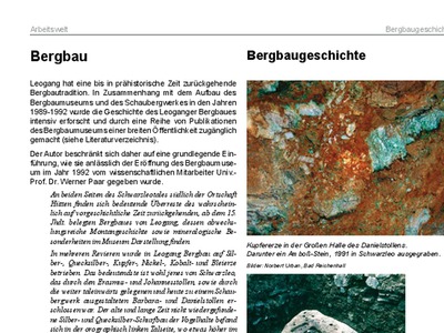 Datei-Vorschaubild - Leogang-Chronik_Bergbaugeschichte_2012.pdf