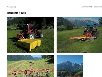 Datei-Vorschaubild - Leogang-Chronik_Heuernte-heute_2012.pdf