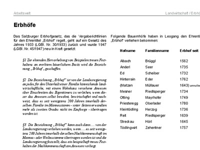 Datei-Vorschaubild - Leogang-Chronik_Erbhöfe_2012.pdf