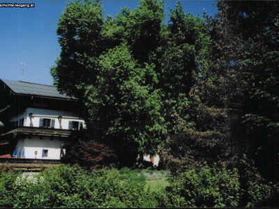 Datei-Vorschaubild - Bergbaumuseum_Kaiserlinde.1_1996.jpg