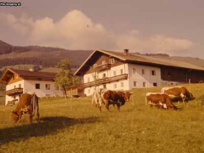Datei-Vorschaubild - Krallerhof_Krallerhof Pension.3_1958.jpg