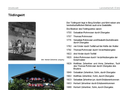 Datei-Vorschaubild - Leogang-Chronik_Tödlingwirt_2012.pdf