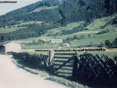 Datei-Vorschaubild - Gruber-Leonhard_Hiefler Vorderriedbauer_1956.jpg