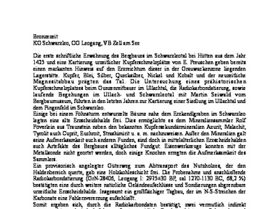 Datei-Vorschaubild - Krauß-Robert_Schwarzleo Bronzezeit_2004.pdf