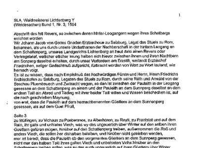 Datei-Vorschaubild - Rainer-Martin_Abschrift Waldmeisterei Lichtenberg Weidesachen_1564.pdf