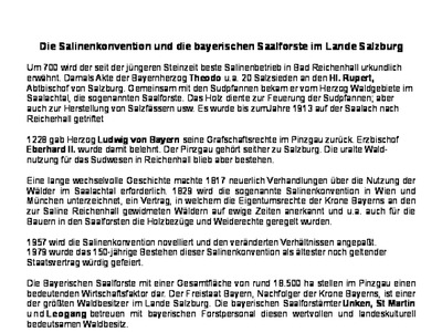 Datei-Vorschaubild - Bergbaumuseum_Beschreibung Salinenkonvention-1829.pdf