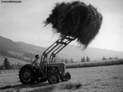Datei-Vorschaubild - Höck-Leonhard_Traktor_1960.jpg