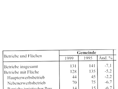Datei-Vorschaubild - Schwaiger-Alois_Betriebe Flächen_1995-1999.pdf