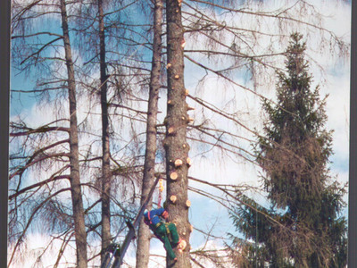 Datei-Vorschaubild - Höck-Leonhard_Baumfällen.3_2001.jpg