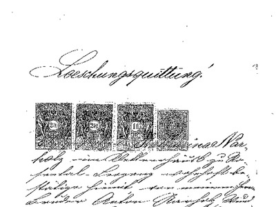 Datei-Vorschaubild - Seiwald-Martin_Narholz Dokumente_1870-1904.pdf