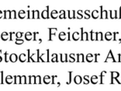 Datei-Vorschaubild - Gemeinderat_Gassner-Johann Bürgermeisterwahl_1922.jpg