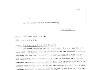 Datei-Vorschaubild - Haberfelner_Gutachten Schwarzleo Nöckelberg_1939.pdf
