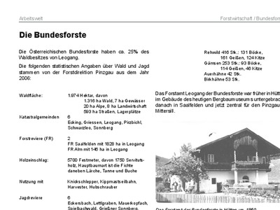 Datei-Vorschaubild - Leogang-Chronik_Holzknechte_2012.pdf