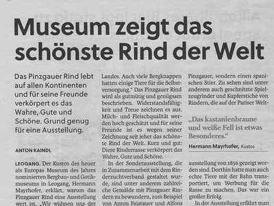 Datei-Vorschaubild - Salzburger-Nachrichten_Museum-zeigt-die-schönsten-Rinder-der-Welt.1_2021.jpg