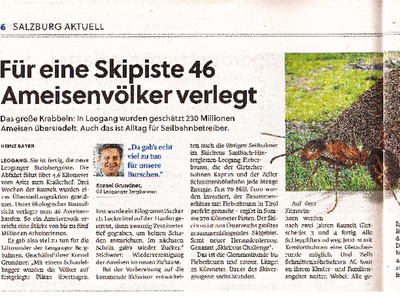 Datei-Vorschaubild - Salzburger-Nachrichten Bayer-Heinz_Für-eine-Skipiste-46-Ameisenvölker-verlegt_2015.pdf