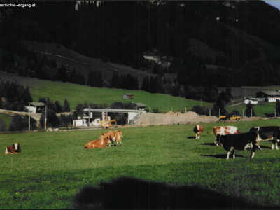 Datei-Vorschaubild - Bergbaumuseum_Bau-Überführung.1_1997.jpg