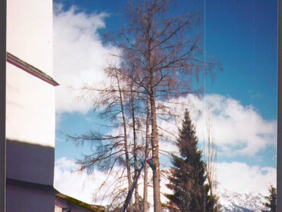 Datei-Vorschaubild - Höck-Leonhard_Baumfällen.2_2001.jpg