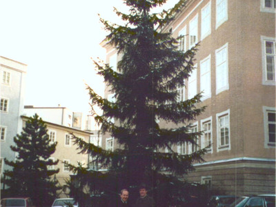 Datei-Vorschaubild - Gemeindeamt-Leogang_Christbaum Chiemseehof_1987.jpg