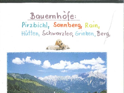 Datei-Vorschaubild - Hammerschmied-Edi_Bauernhöfe Sonnberg Rain Hütten Schwarzleo Grießen Berg Pirzbühel_2003.pdf