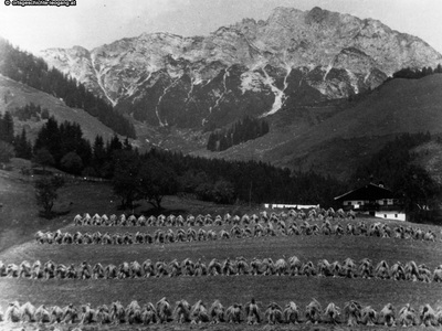 Datei-Vorschaubild - Aigner-Rupert_Getreideanbau Lettlbauer 1000m-Seehöhe_1941.jpg